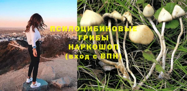 a pvp Армянск
