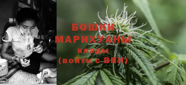кокс Ростов